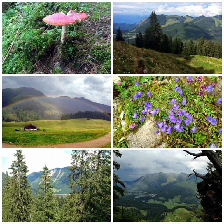 Wandern Spitzingsee 2014