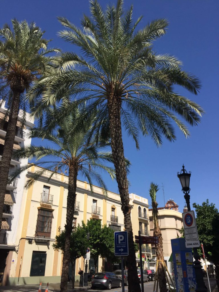 Sevilla 2019