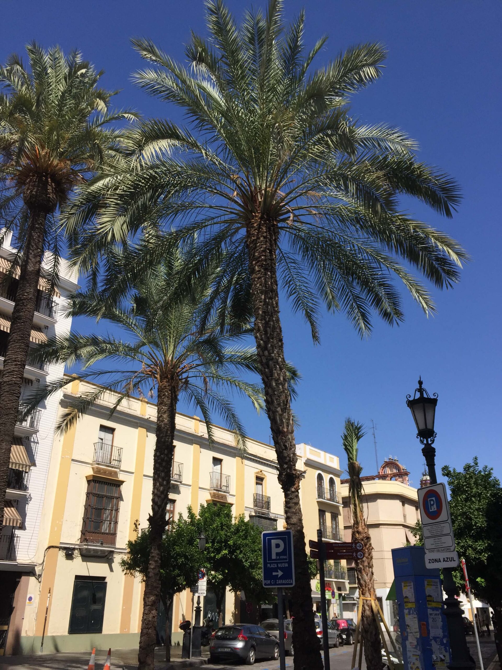 Sevilla 2019
