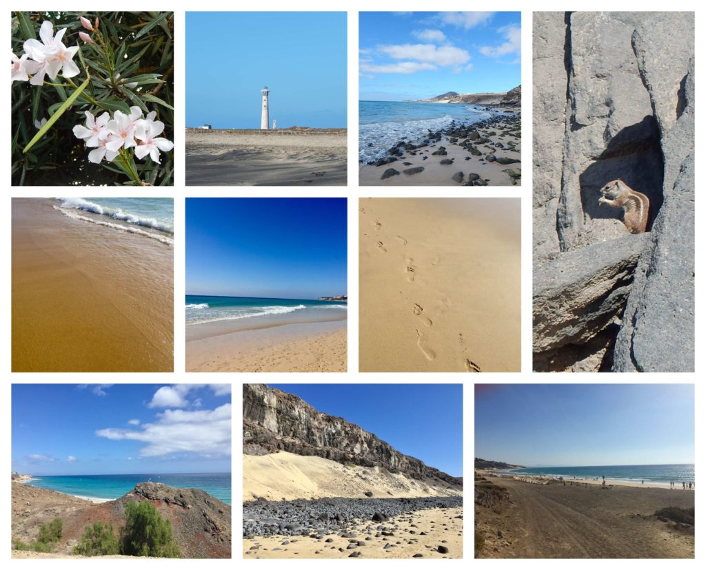 Fuerteventura Strand